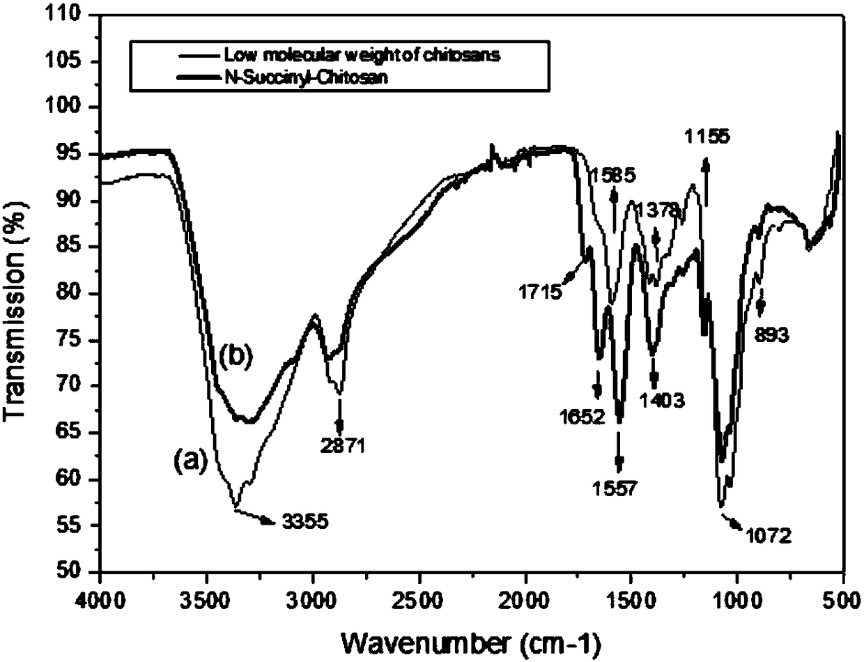 Small interfering RNA loading N-succinyl chitosan nanoparticle drug delivery system, preparation method and applications thereof