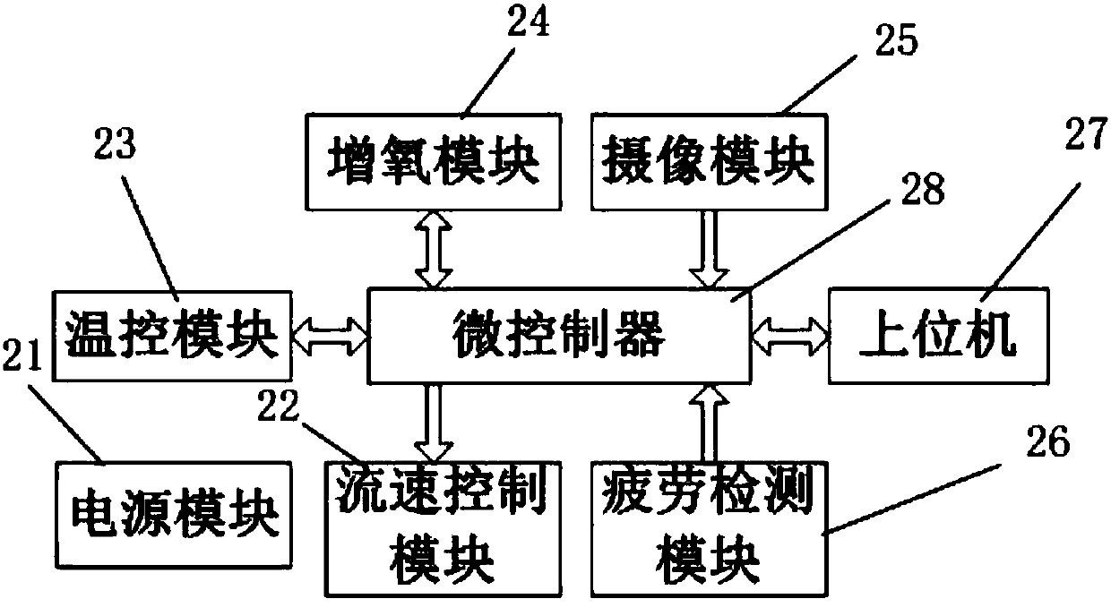 Automatic fish swimming ability test device and method