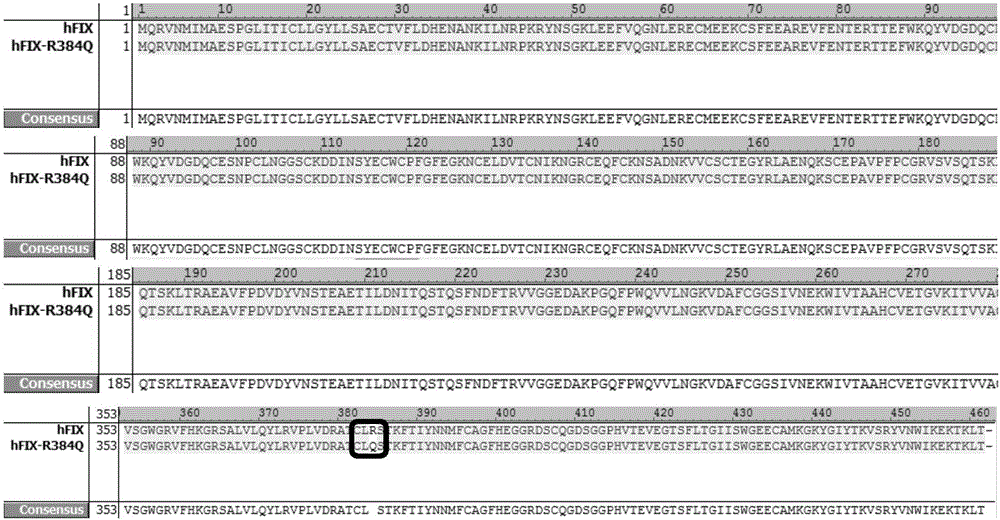 Preparation and application of high-activity blood coagulation factor IX mutant, recombinant protein and fusion protein