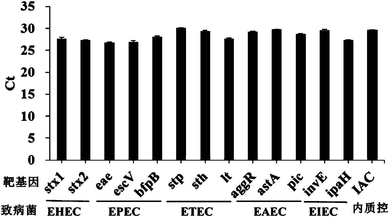 Multiple qPCR (quantitative Polymerase Chain Reaction) method for rapidly detecting five kinds of diarrheogenic Escherichia coli, kit and application thereof