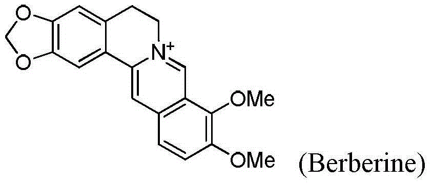 Seven-membered-ring berberine analogue and pharmaceutical composition, preparation method and application thereof