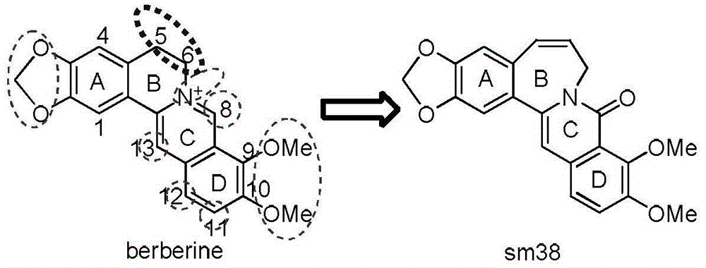 Seven-membered-ring berberine analogue and pharmaceutical composition, preparation method and application thereof