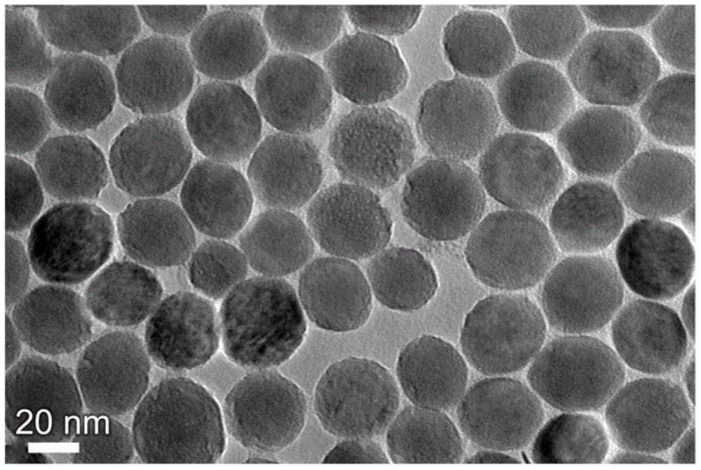 Rare earth nano-material with both up/down conversion fluorescence and photothermal properties