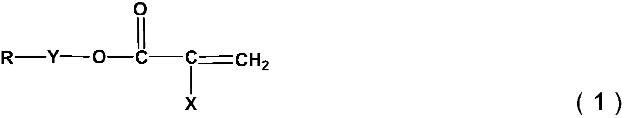 Fluorescent electronic protective paint and preparation method thereof