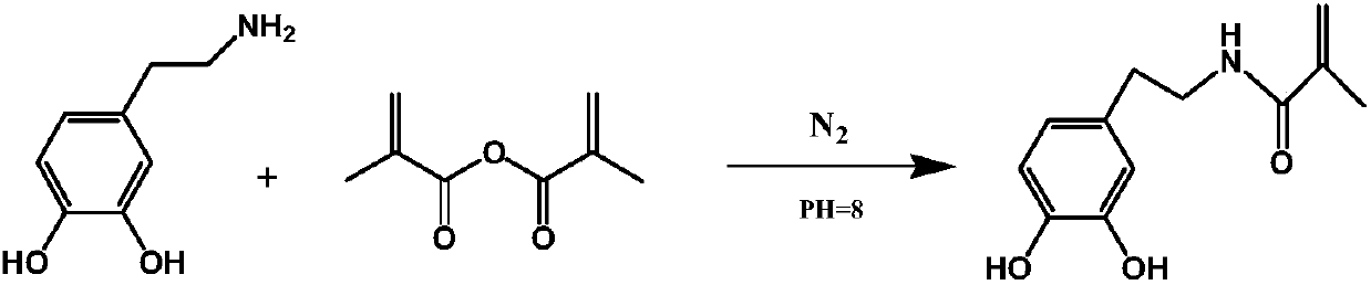 Fluorescent electronic protective paint and preparation method thereof