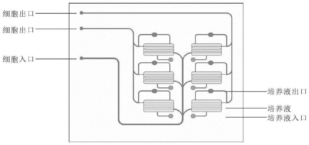 Construction method of biosensing system for detecting physiological and pathological parameters of organ chip