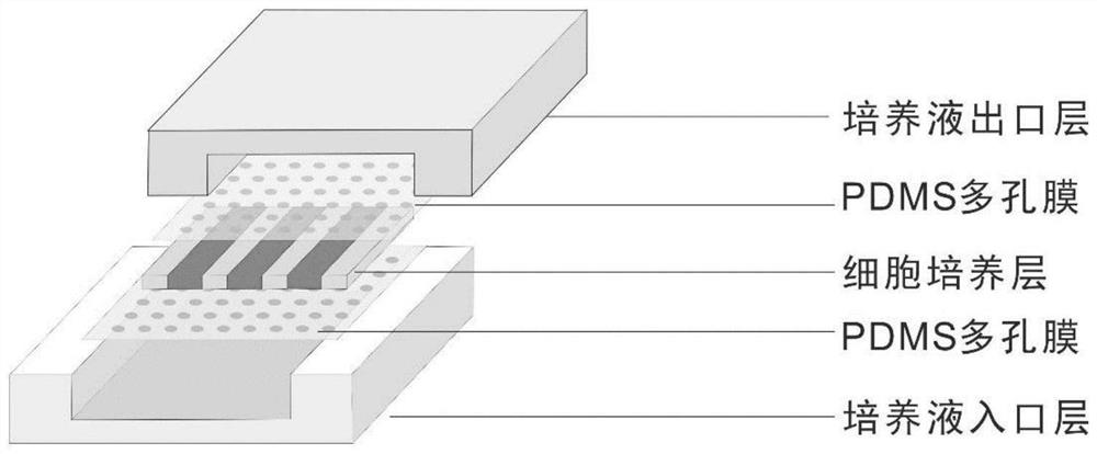 Construction method of biosensing system for detecting physiological and pathological parameters of organ chip