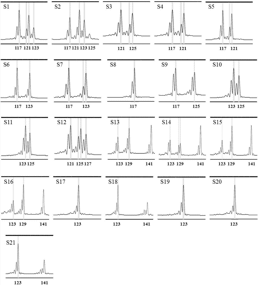 Mulberry EST-SSR (simple sequence repeat) molecular markers, and core primer group and application thereof