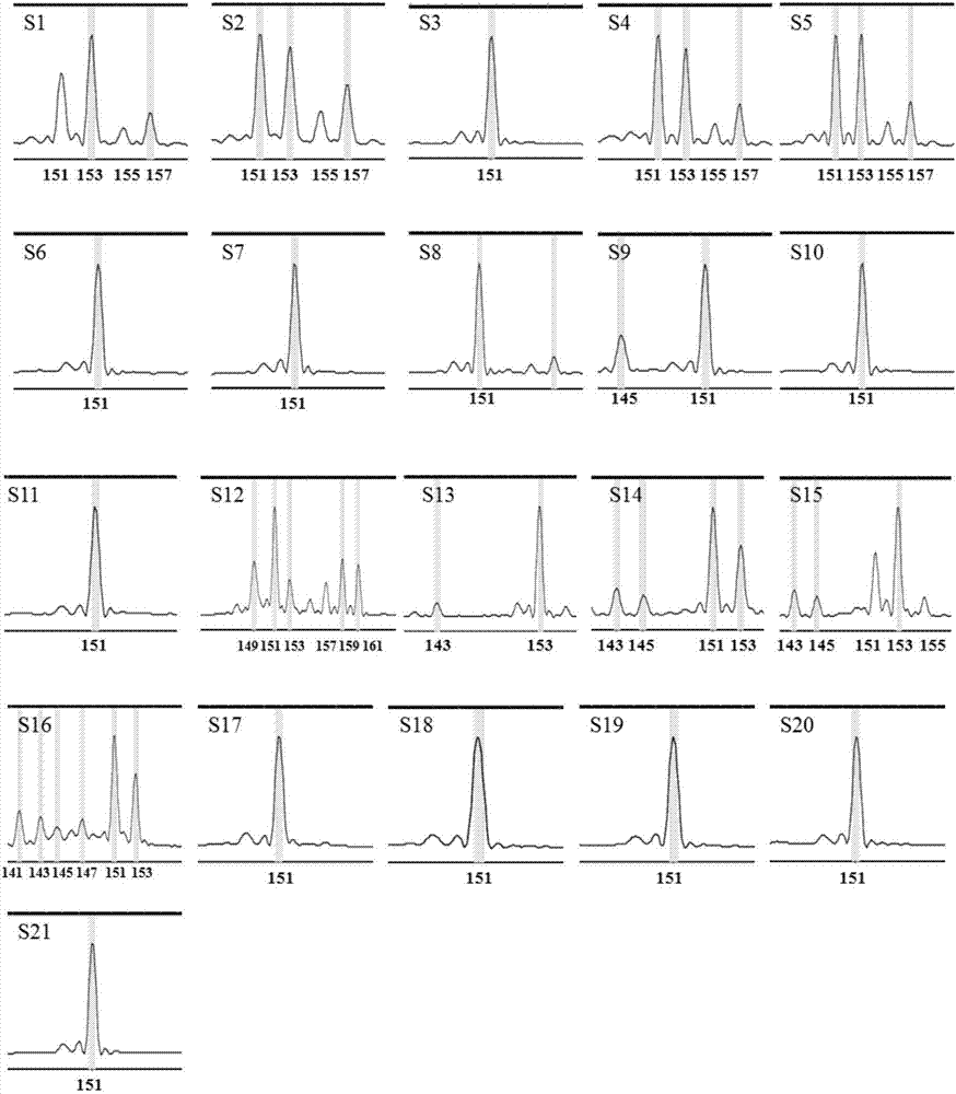 Mulberry EST-SSR (simple sequence repeat) molecular markers, and core primer group and application thereof