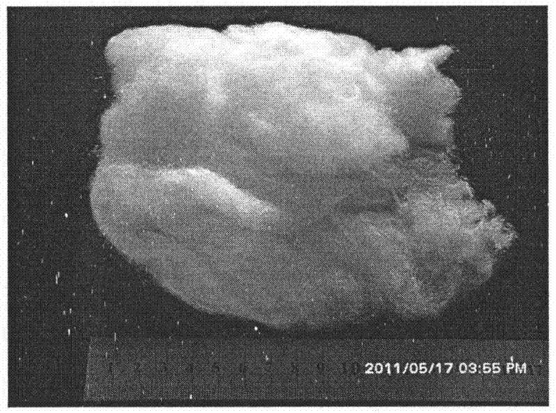 A preparation method of titanium dioxide fiber with photocatalytic function and nano-polycrystalline structure