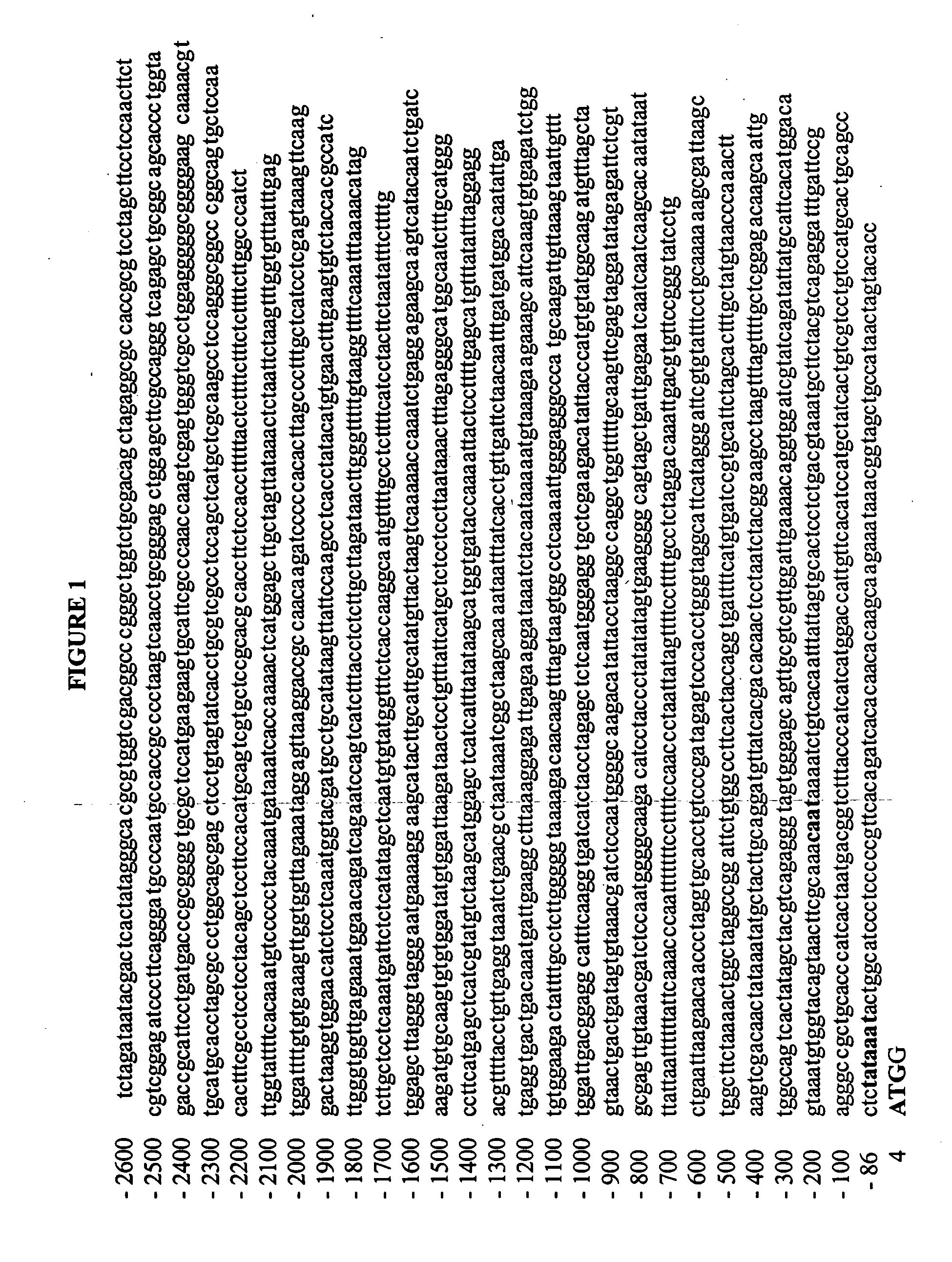 Stem-regulated, plant defense promoter and uses thereof in tissue-specific expression in monocots