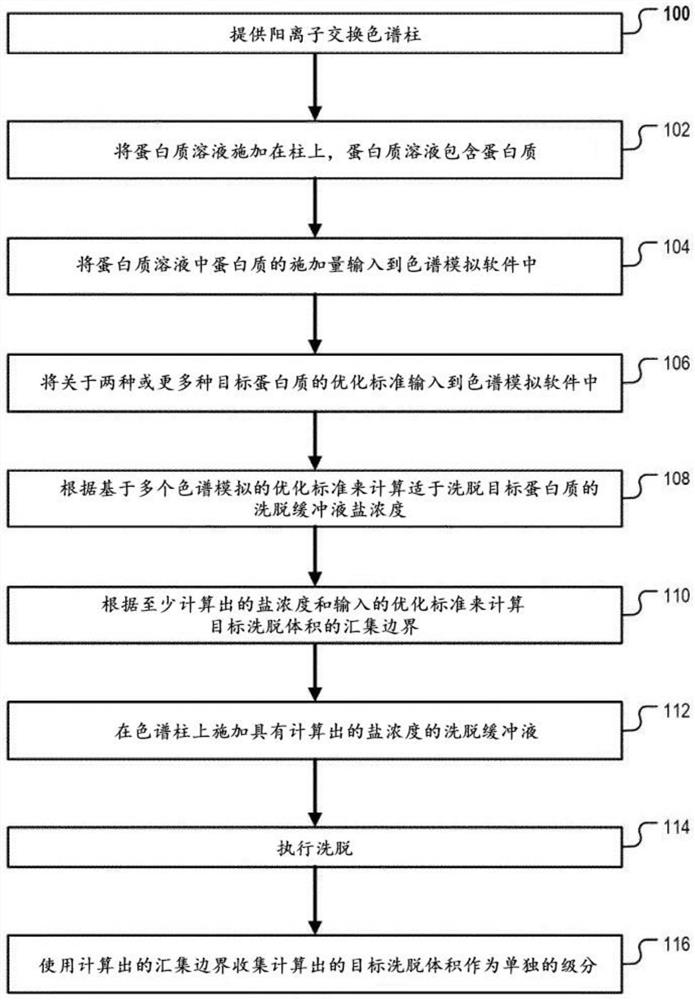 Cation chromatography using predicted elution buffer salt concentration