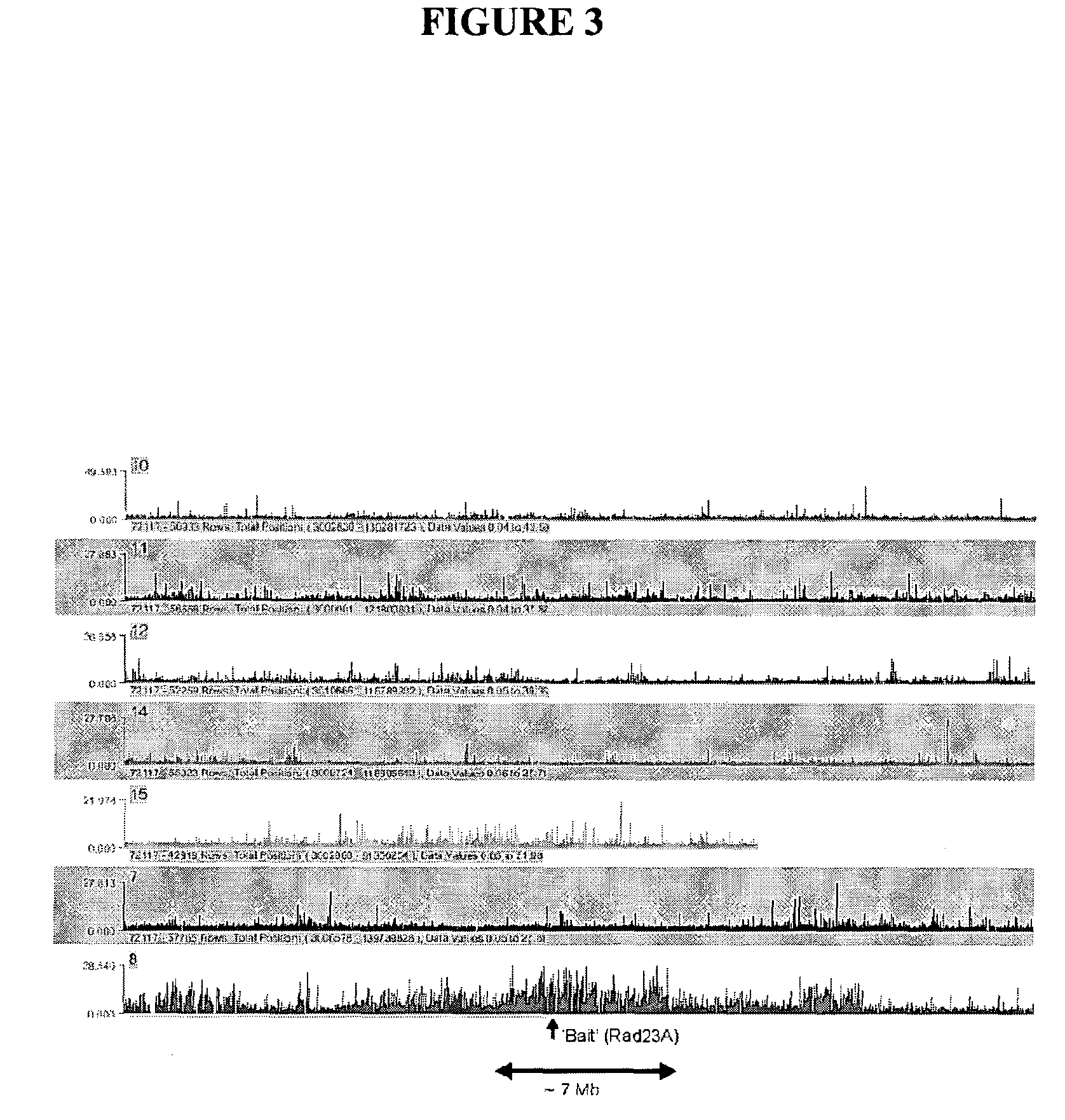 Circular chromosome conformation capture (4C)