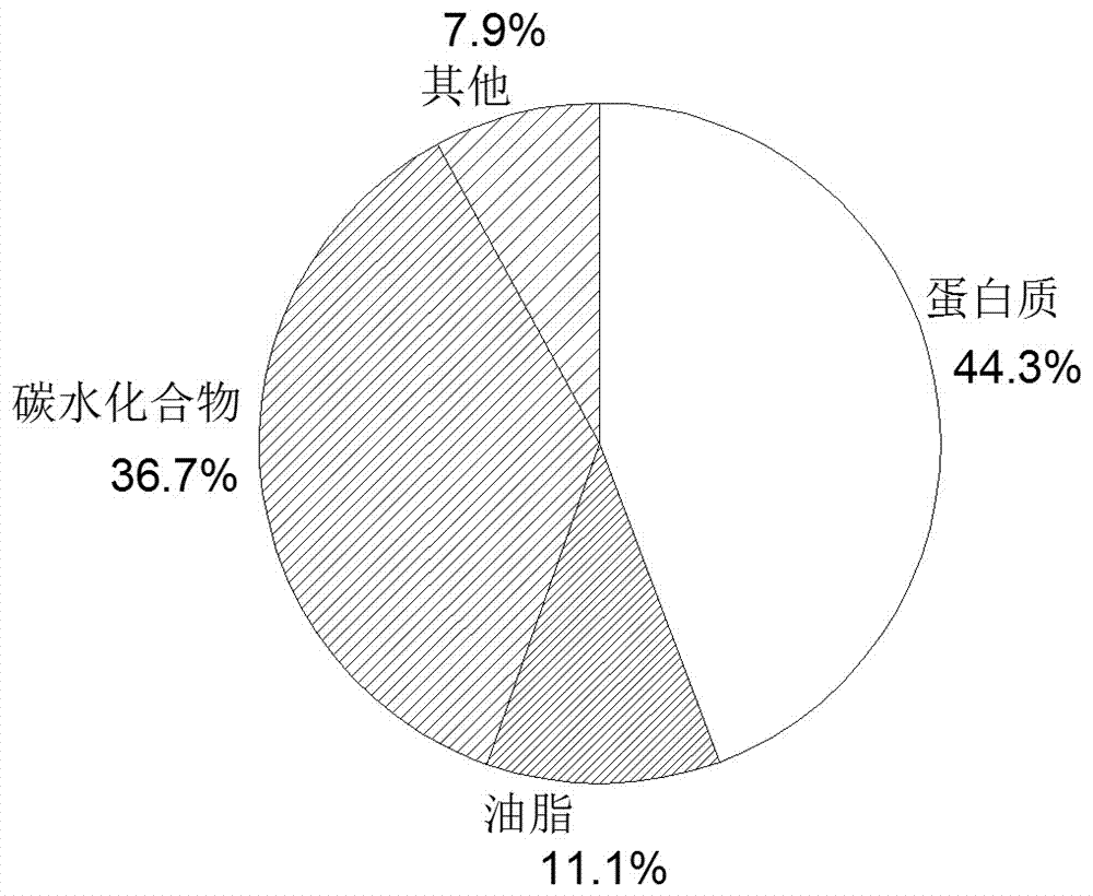 Overcompensation cultural method improving content of proteins of heterotrophic microalgae