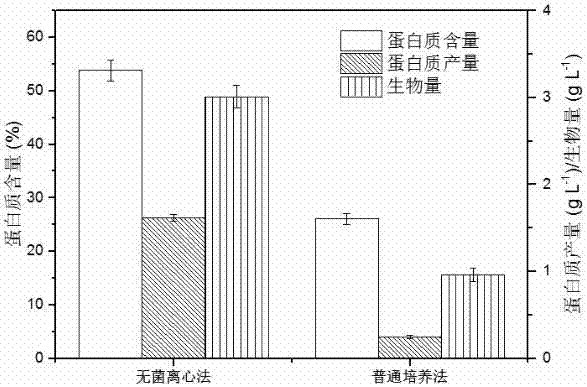 Overcompensation cultural method improving content of proteins of heterotrophic microalgae