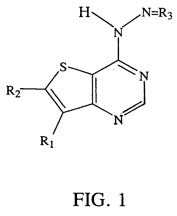 Small molecule thienopyrimidine-based protein tyrosine kinase inhibitors