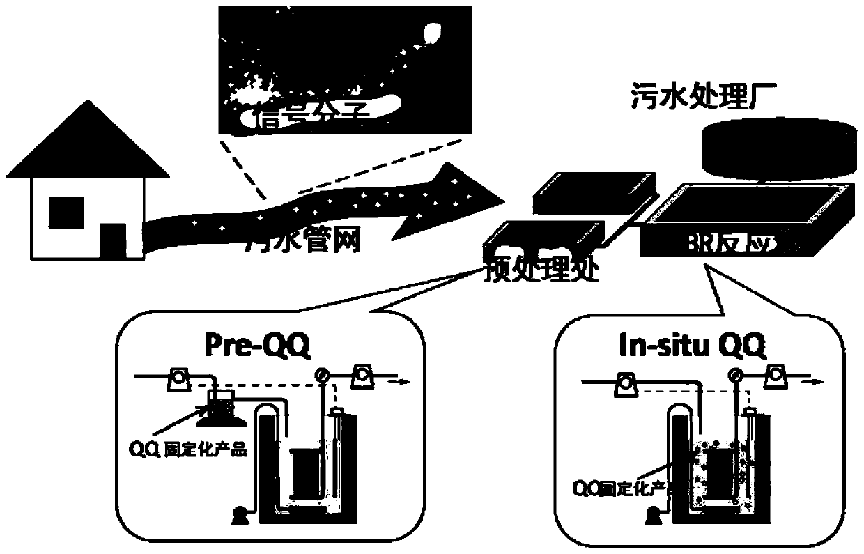 MBR membrane pollution control method based on microbial quorum sensing quenching