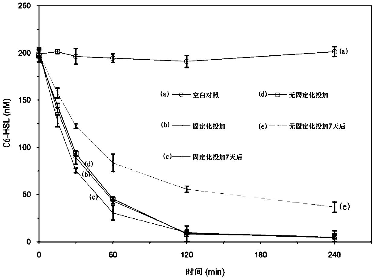 MBR membrane pollution control method based on microbial quorum sensing quenching