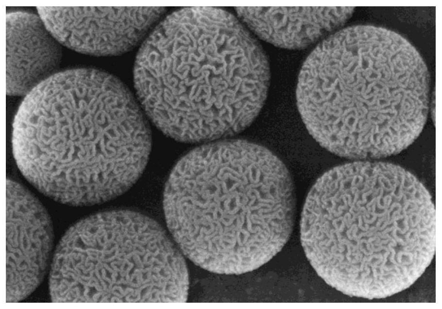 A dendritic porous sio  <sub>2</sub> Base Composite Resin and Its Preparation and Application