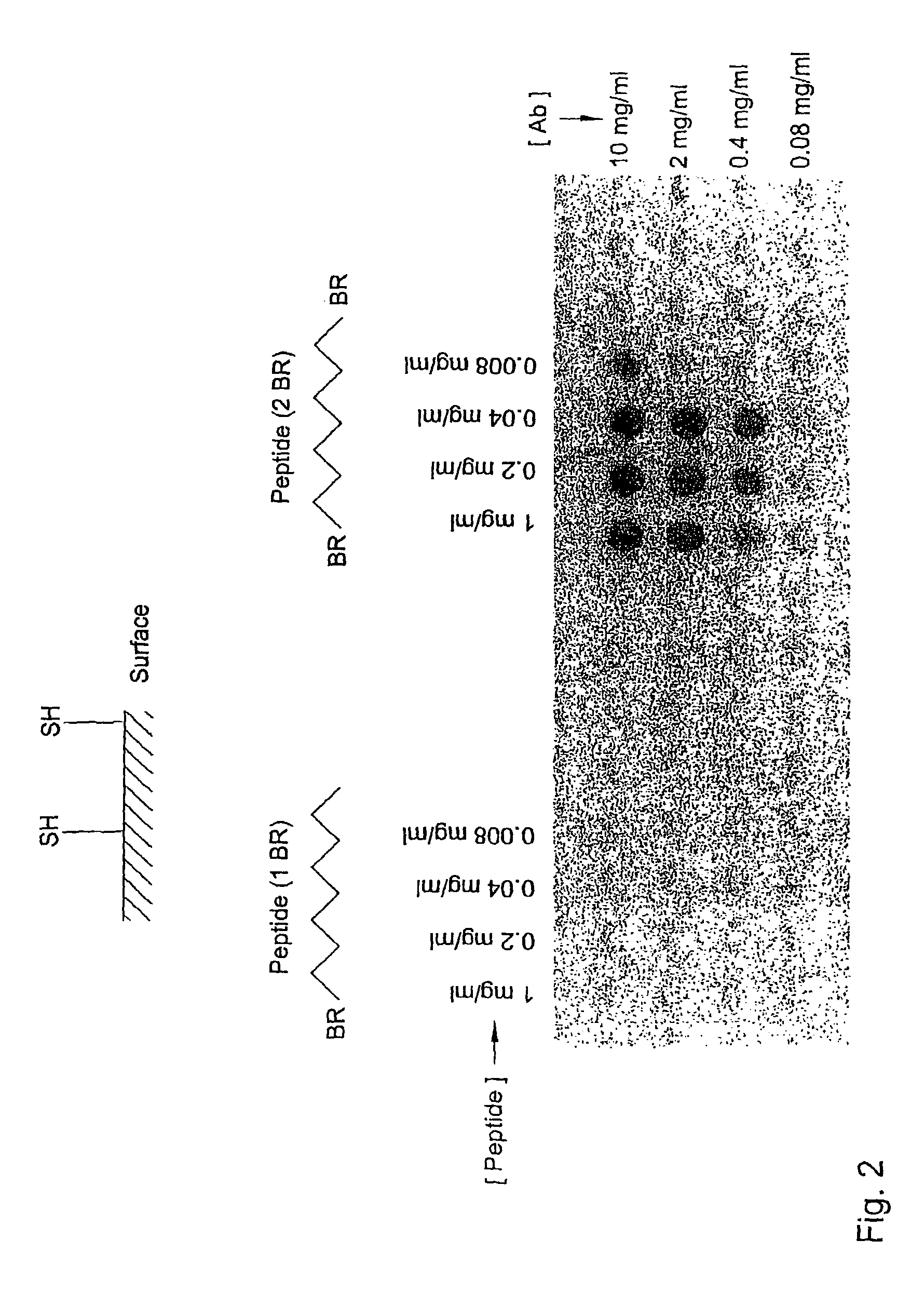 Identification of protein binding sites