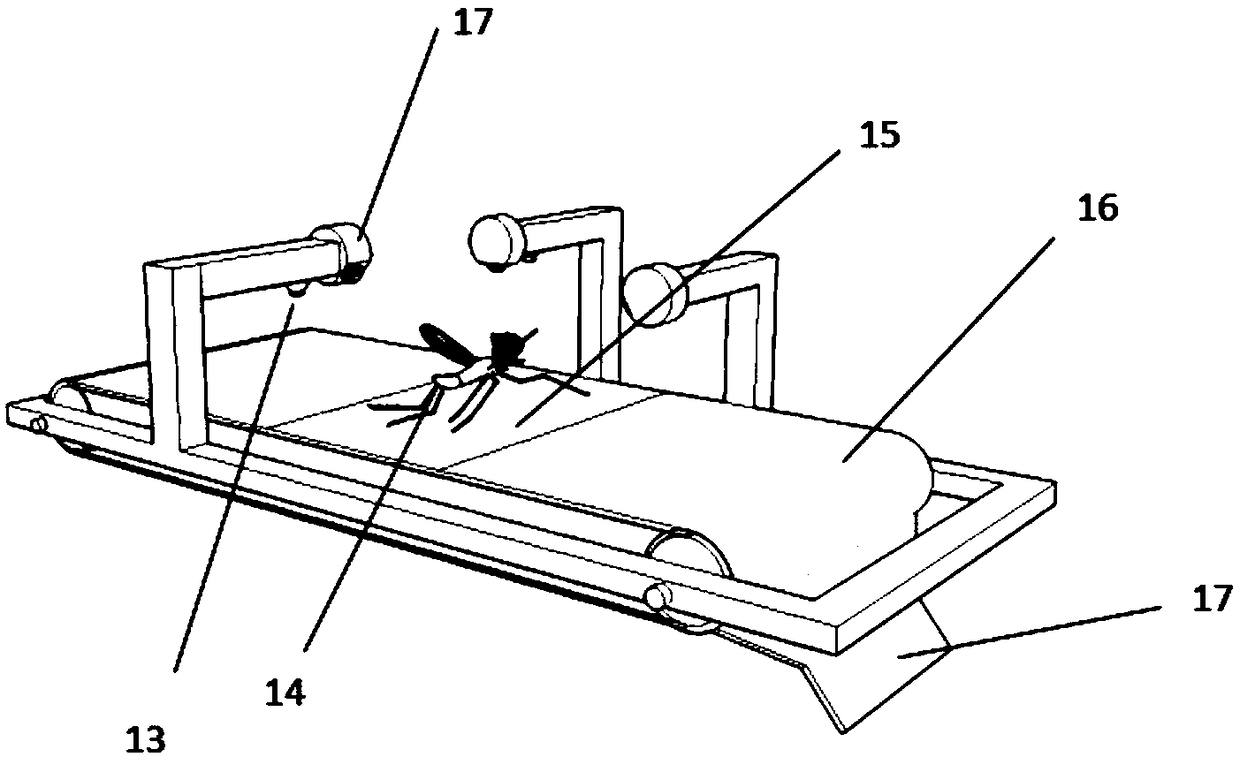 Remote insect identification and counting device based on machine vision