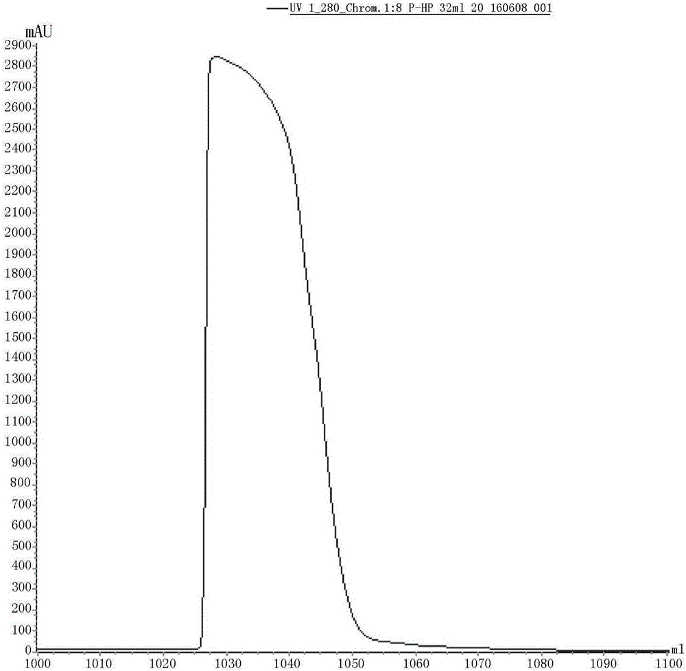 Purification method for recombinant human interleukin-12