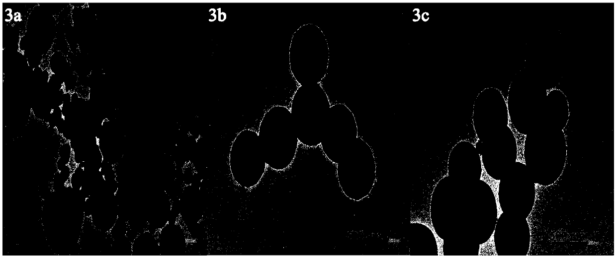 Tungsten trioxide nano hollow sphere semiconductor material and preparation method thereof, gas sensor and preparation method and application thereof