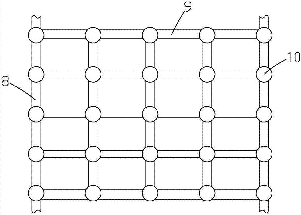 Automatic drug spraying device for Zizania aquatic planting and method