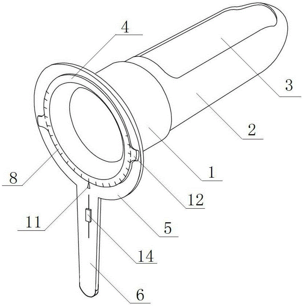 Rectum dilator