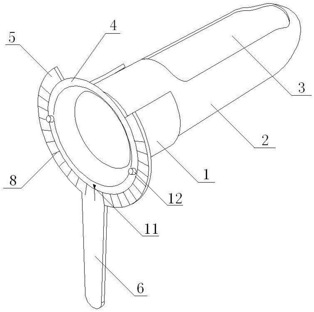 Rectum dilator