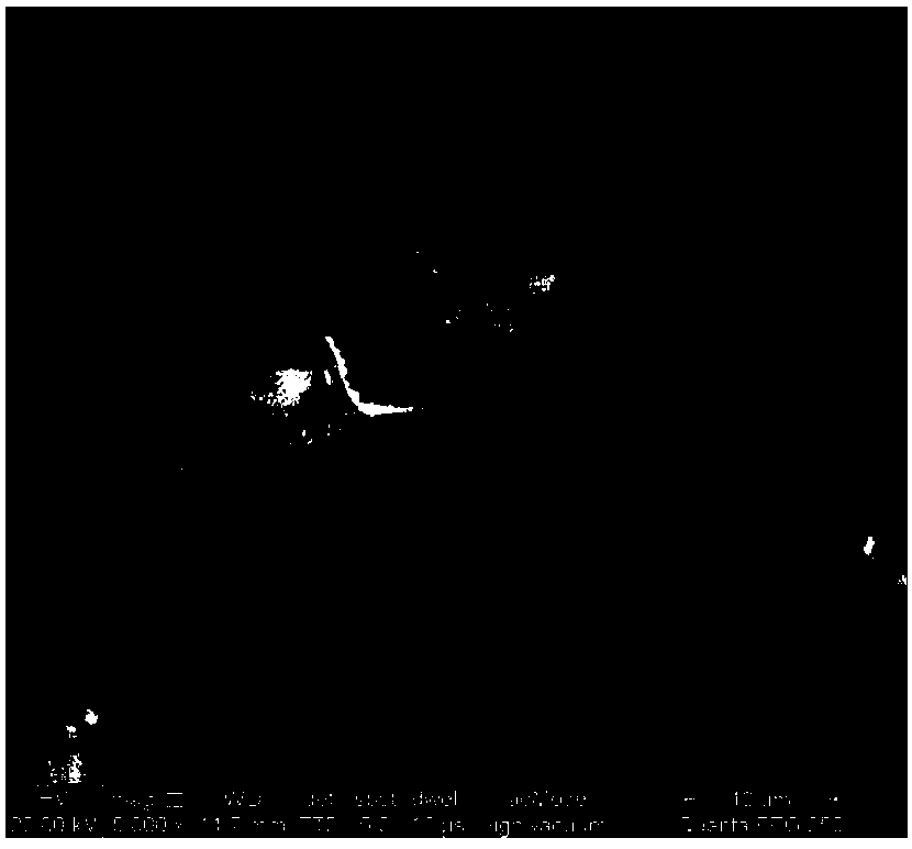 Method for preparing chromium-containing magnesia from magnesite light burning powder