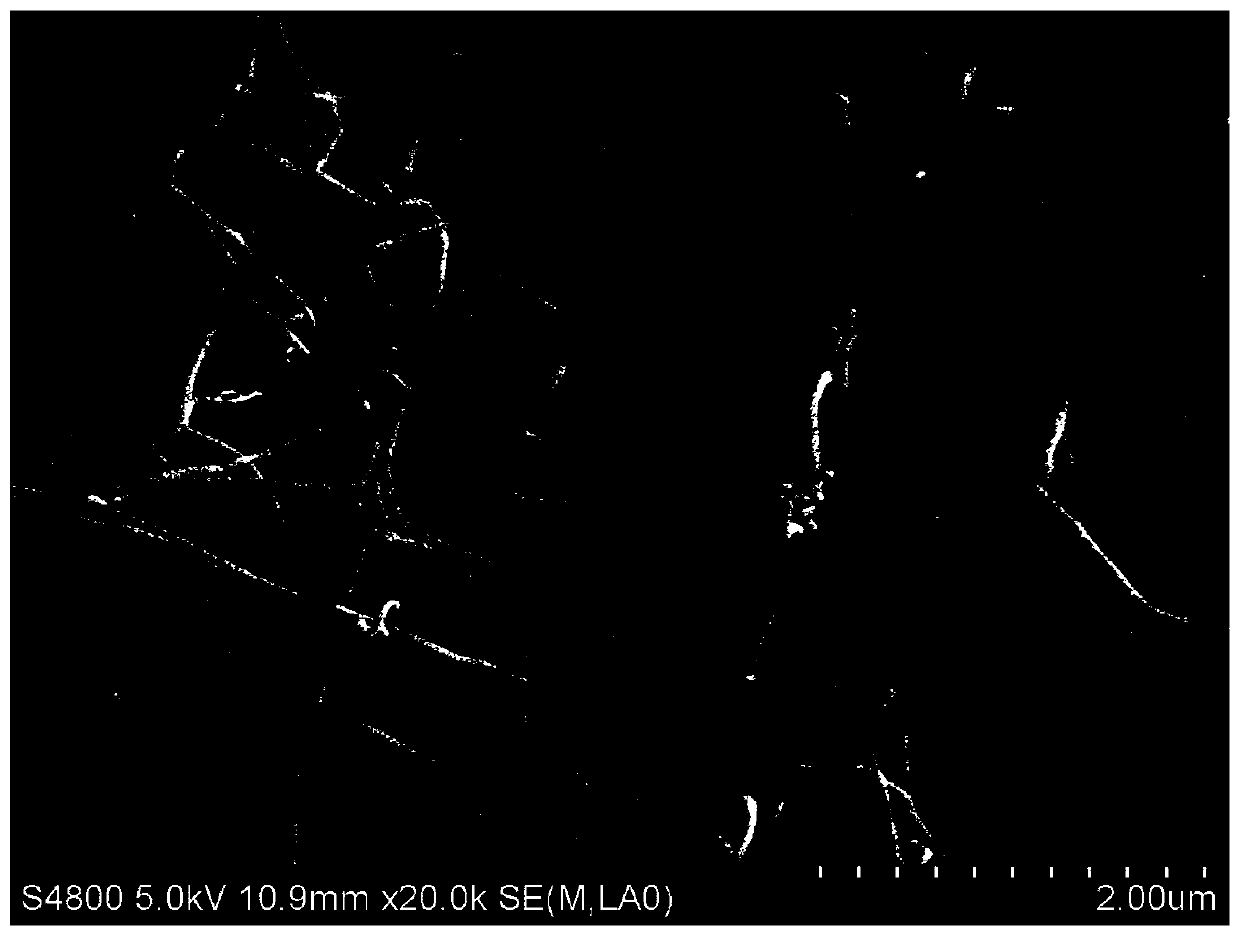 Ultrasonic-mediated silk fibroin composite collagen hydrogel and preparation method thereof