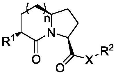 A dipeptide mimetic based on azabicyclo[x,y,0]alkanone skeleton and its preparation method