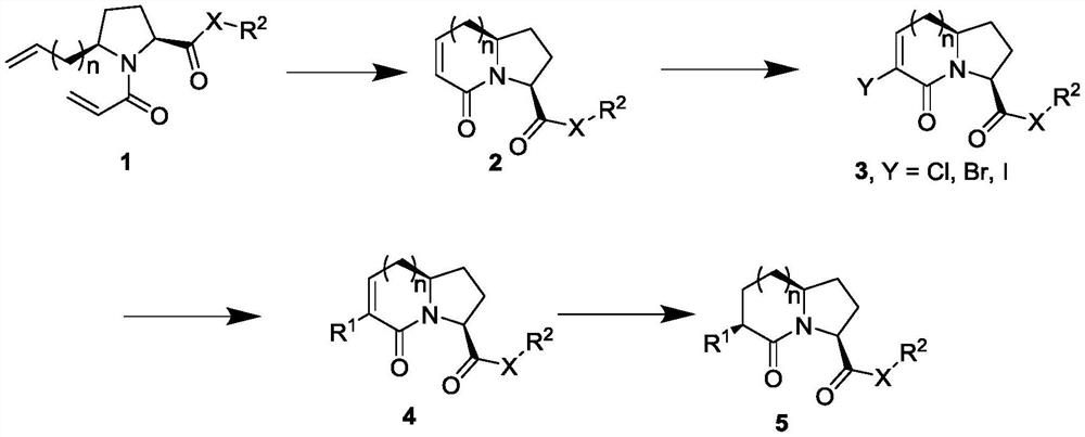 A dipeptide mimetic based on azabicyclo[x,y,0]alkanone skeleton and its preparation method