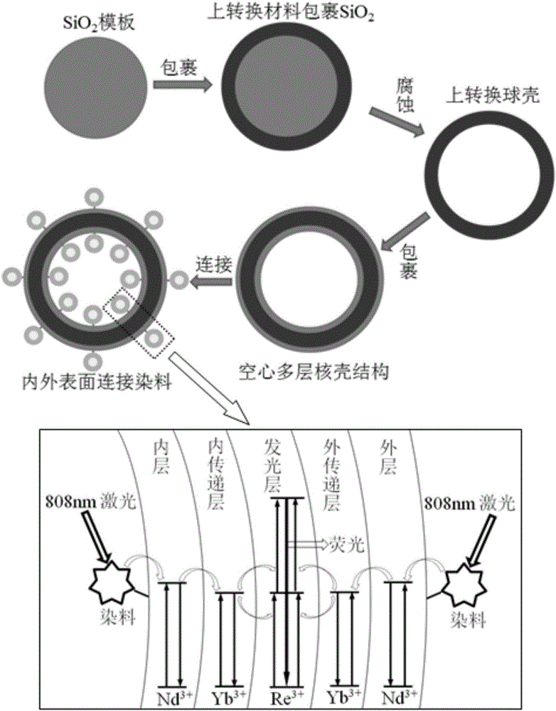 Dye-sensitized rare earth upconversion material and preparation method thereof