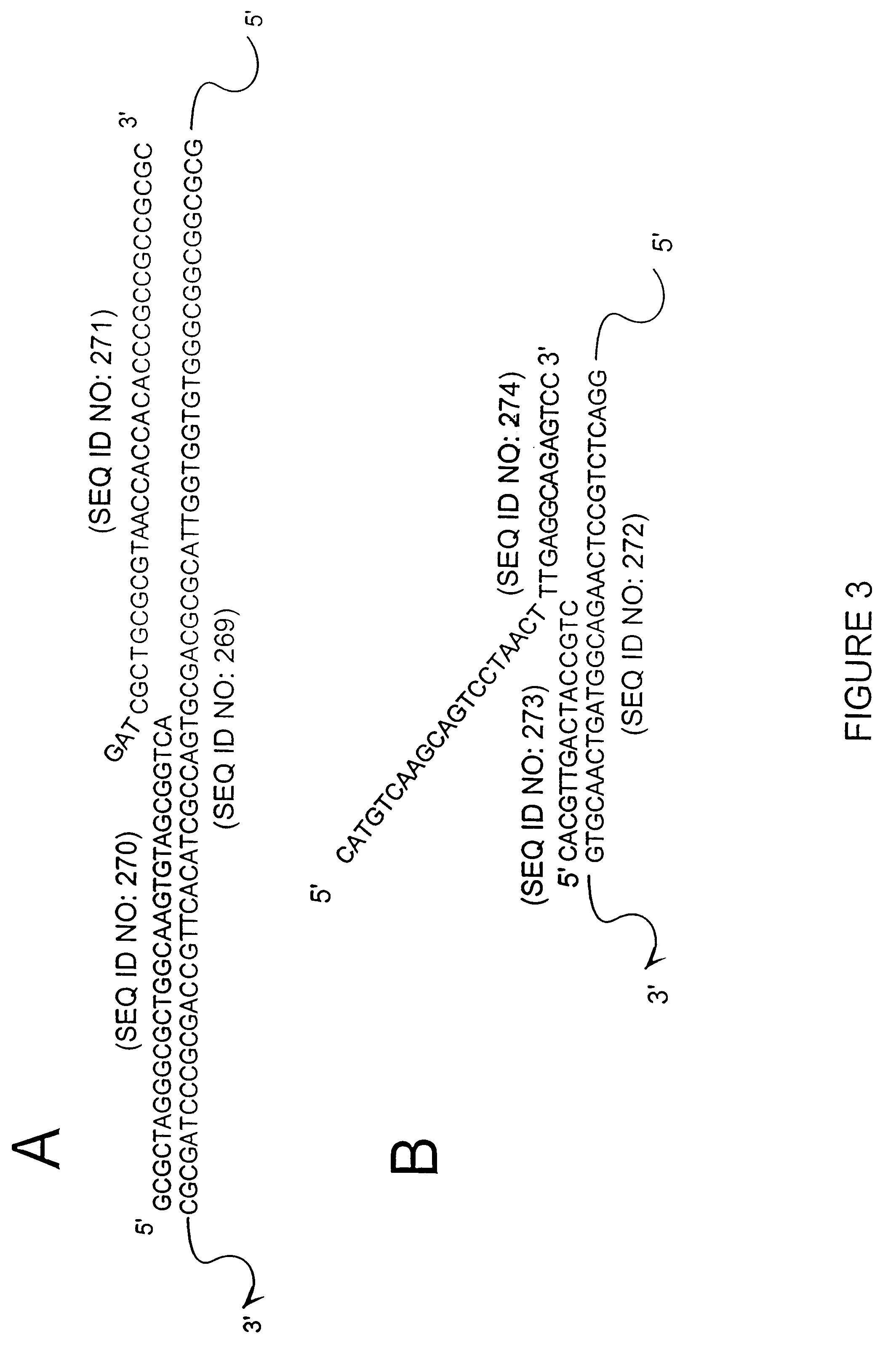 Enzymes for the detection of nucleic acid sequences