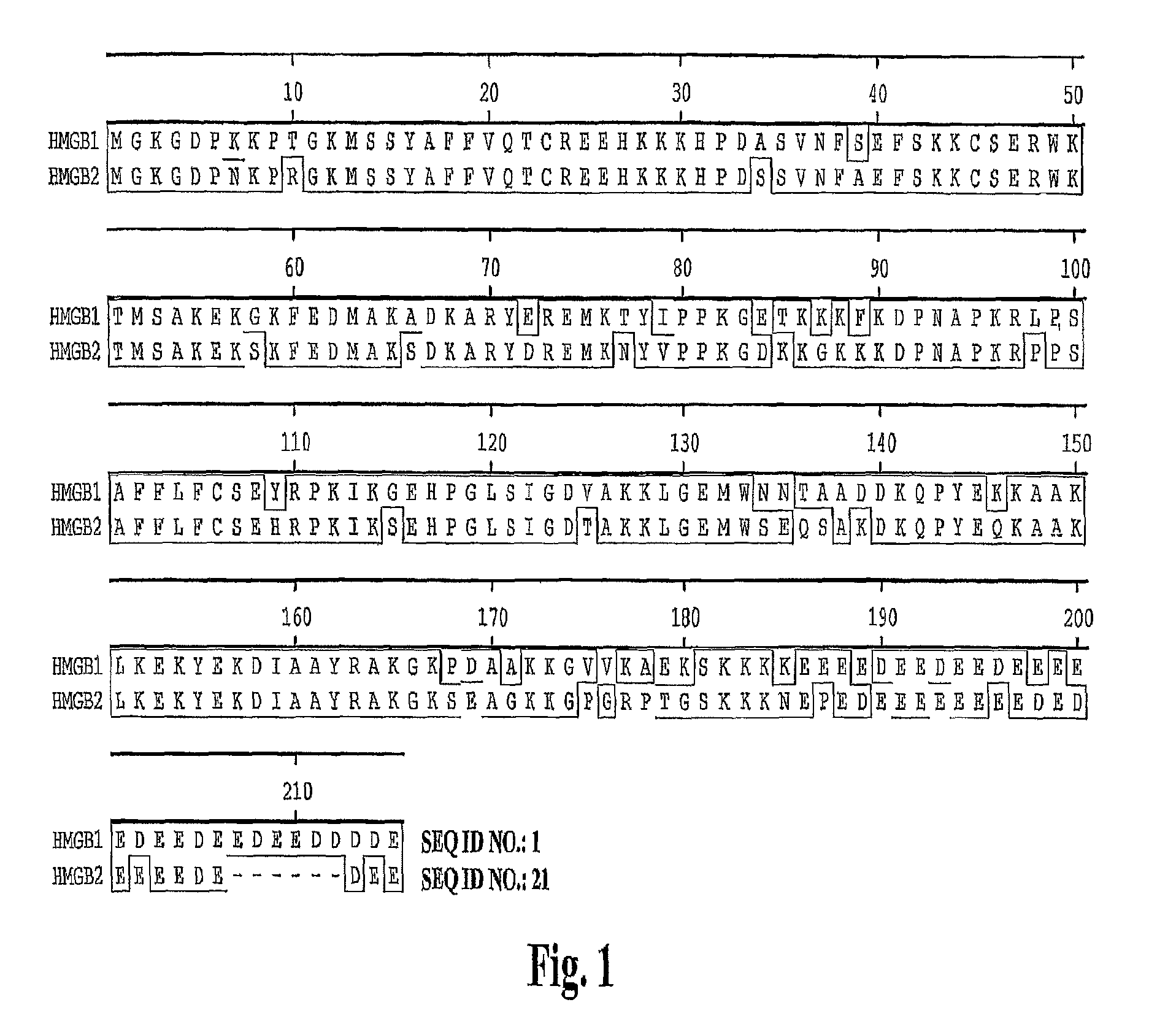 High affinity antibodies against HMGB1 and methods of use thereof