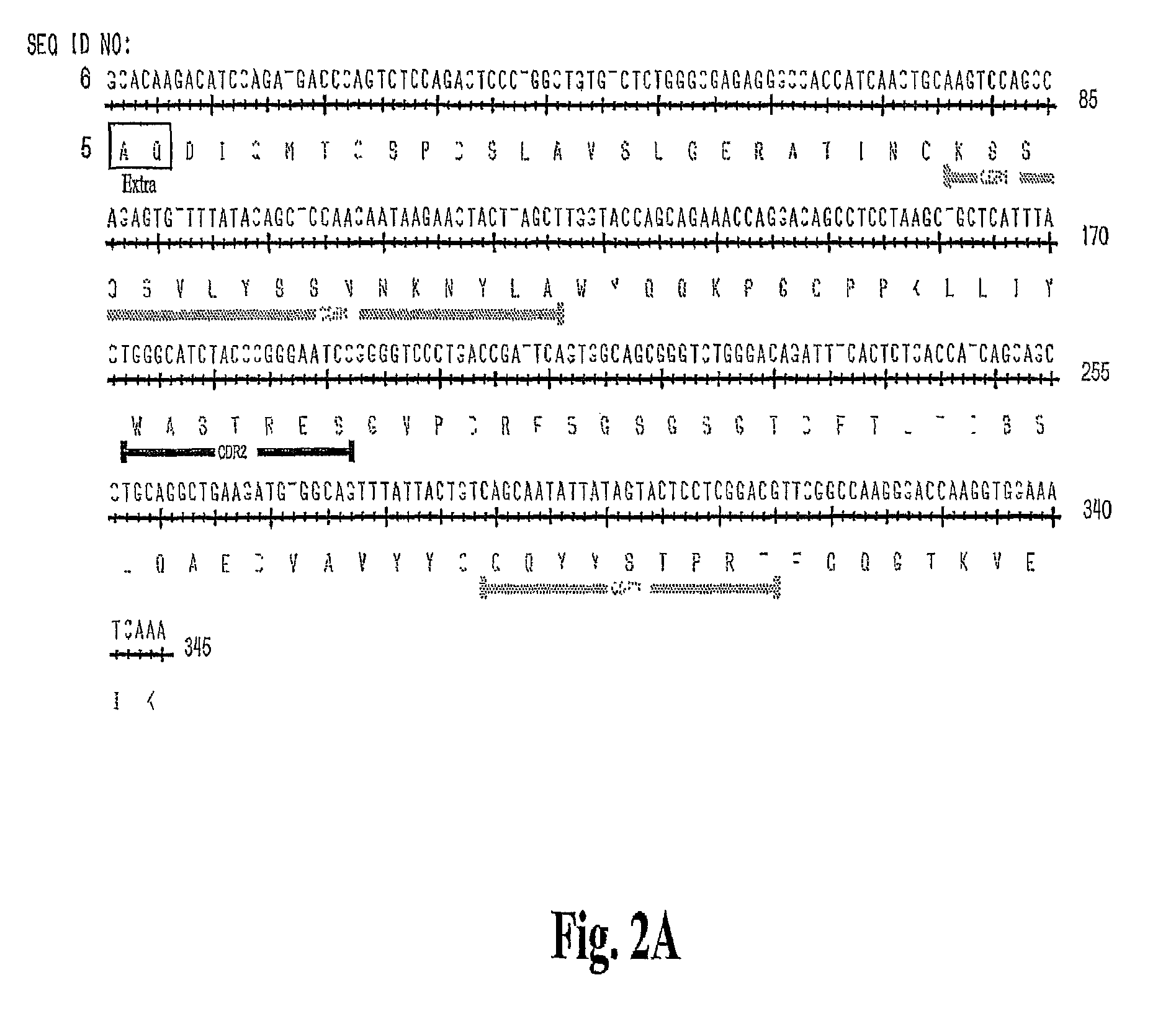 High affinity antibodies against HMGB1 and methods of use thereof