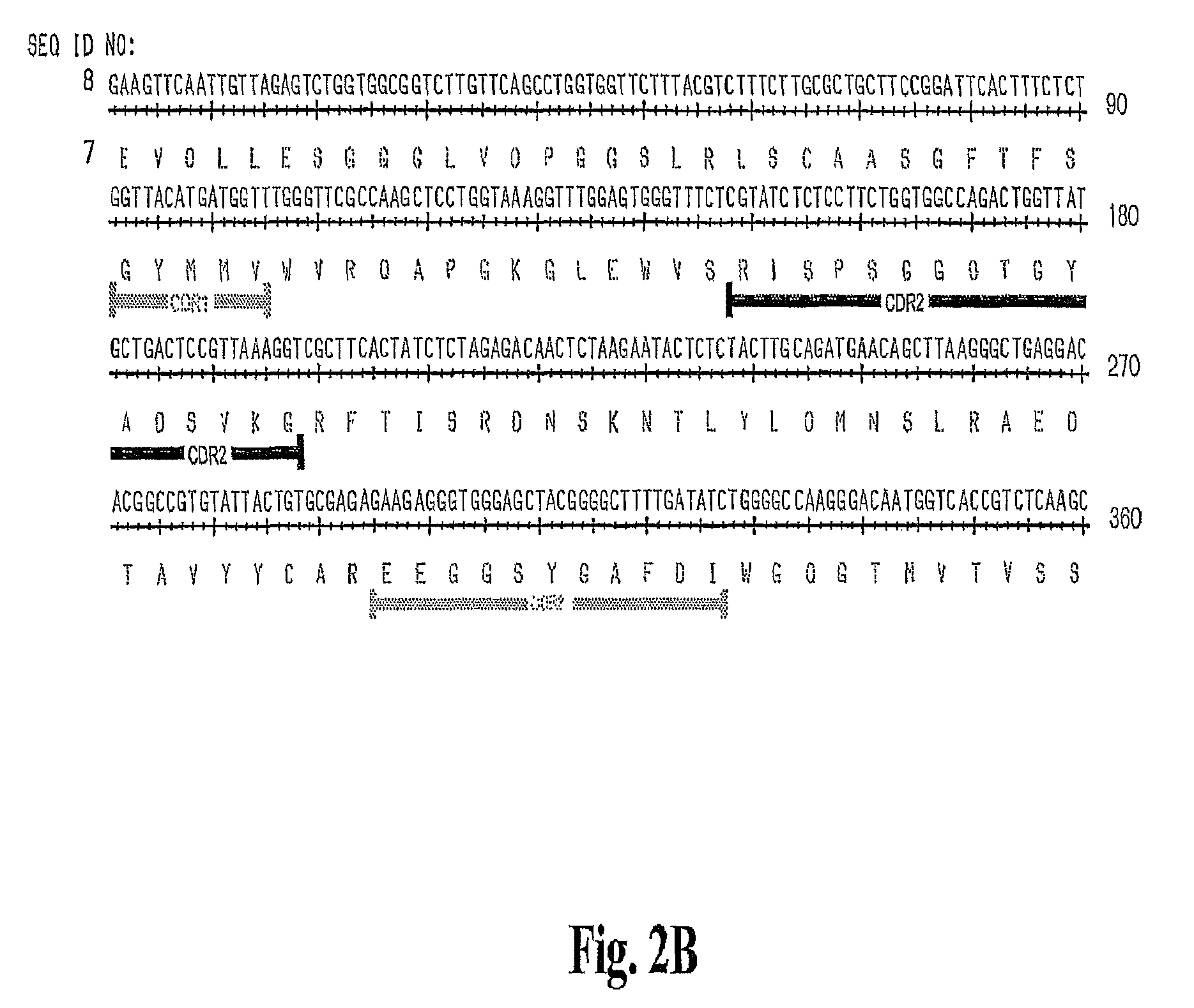 High affinity antibodies against HMGB1 and methods of use thereof