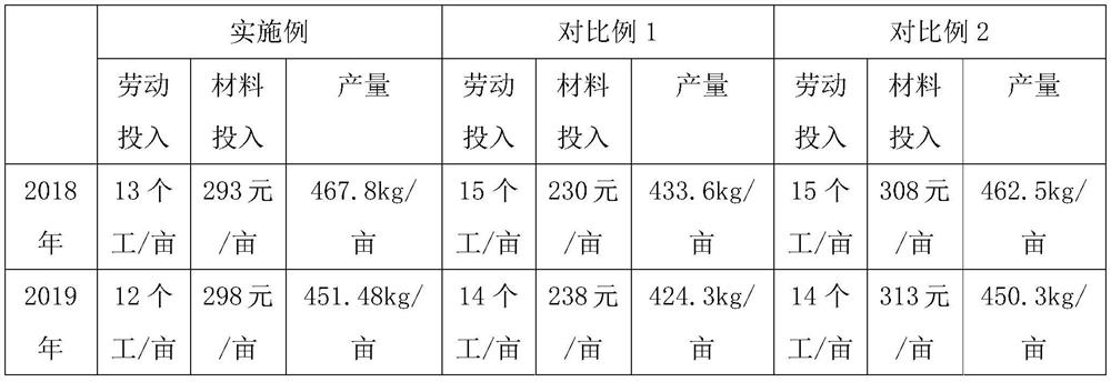 Method for floating seedling breeding in sorghum paddy field