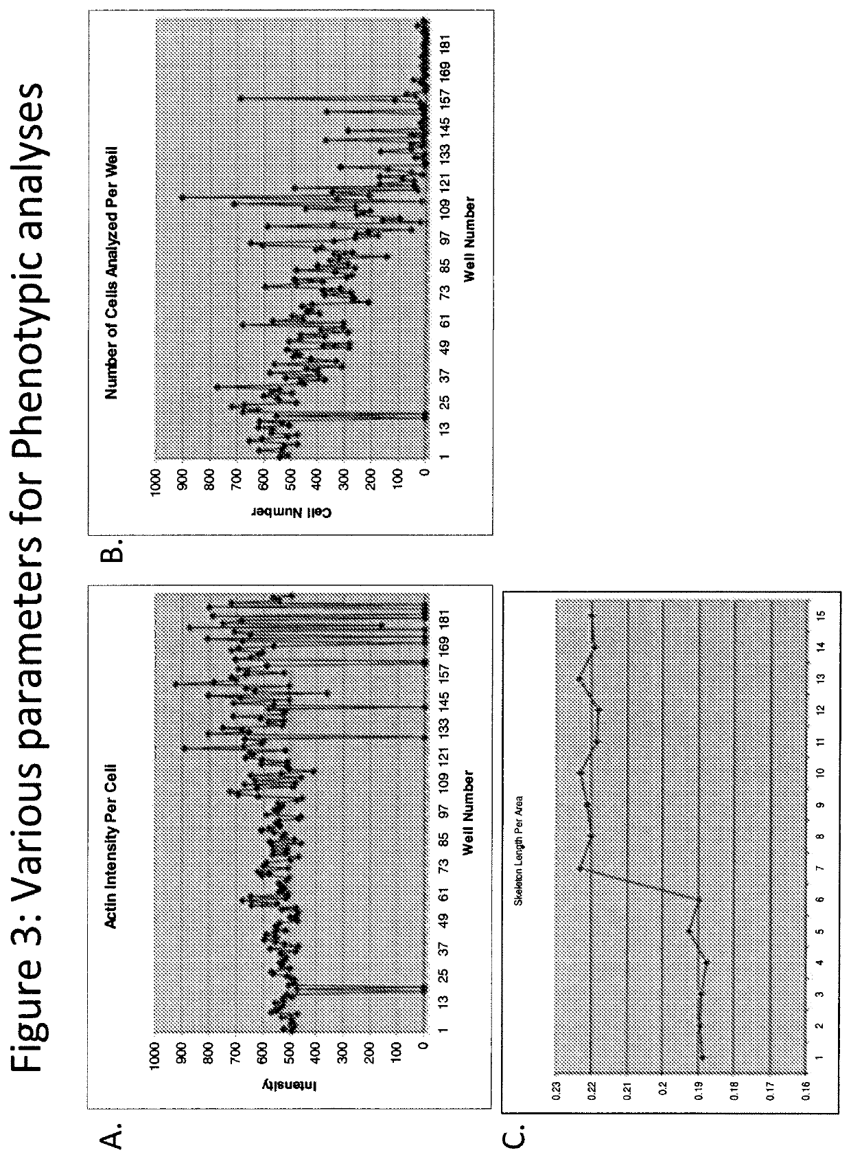 Podocyte cultures and uses thereof