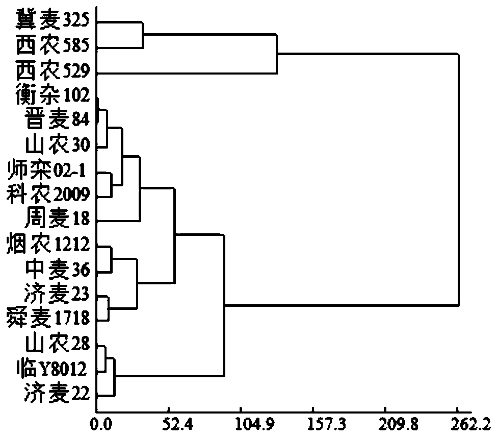 Field identification and evaluation method for wheat late frost resistance