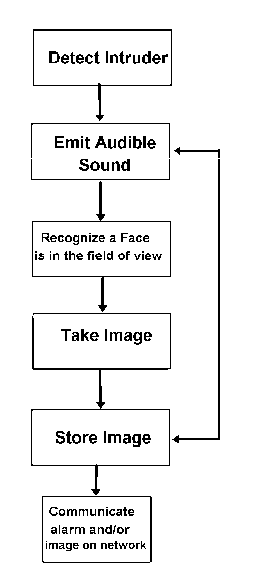 Intruder imaging and identification system