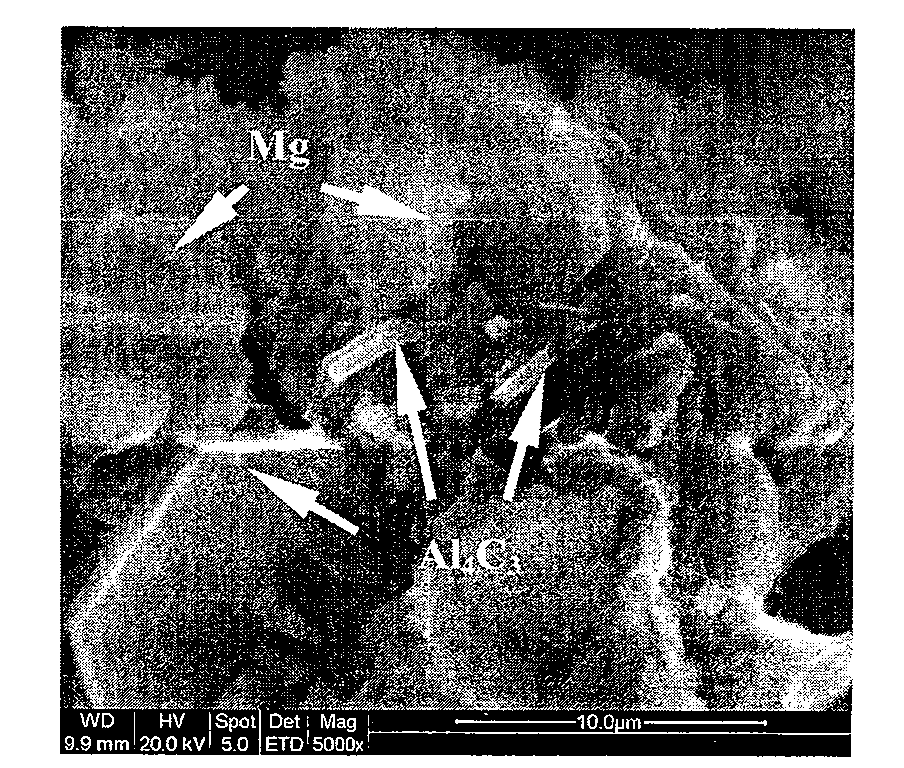 Method for preparing magnesium and magnesium alloy composite grain refiner