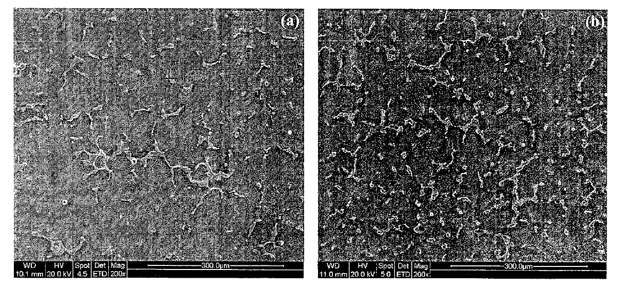 Method for preparing magnesium and magnesium alloy composite grain refiner