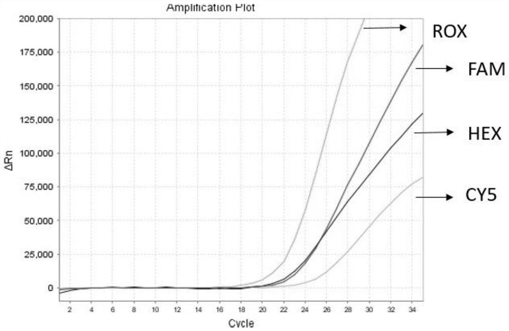 Kit for detecting human natural killer cell immunoglobulin-like receptor KIR genotyping