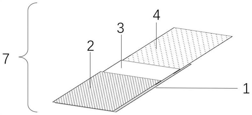 Blood collection card and application thereof