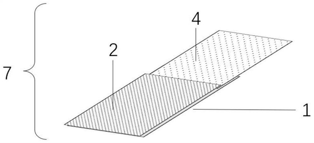 Blood collection card and application thereof