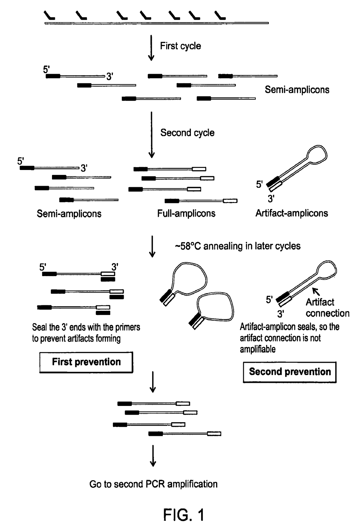 Methods of amplifying whole genome of a single cell