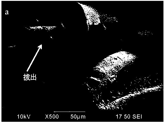 Zirconium oxide-based porous composite material and preparation method thereof